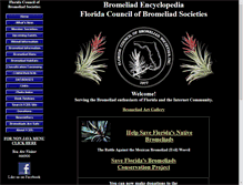 Tablet Screenshot of fcbs.org
